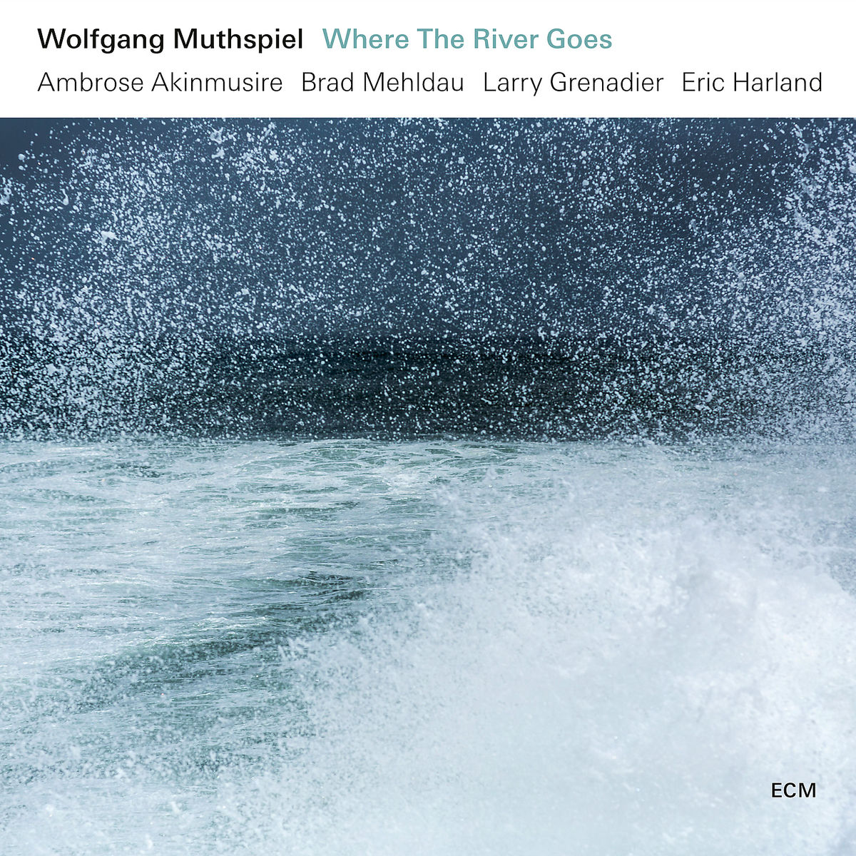 Wolfgang Muthspiel, Ambrose Akinmusire, Brad Mehldau, Larry Grenadier, Eric Harland Where The River Goes Vinyl LP 455957