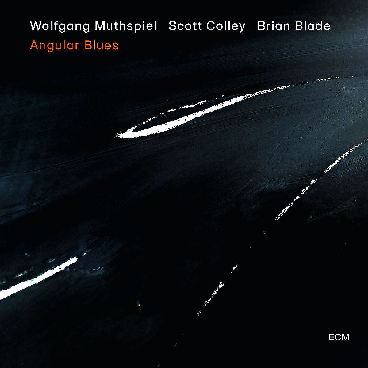 Wolfgang Muthspiel, Scott Colley, Brian Blade Angular Blues Vinyl 380032