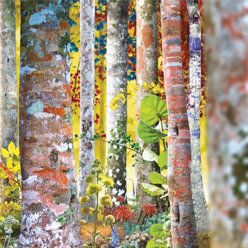 David Sylvian Do You Know Me Now? Exclusive 10CD Boxset 293435