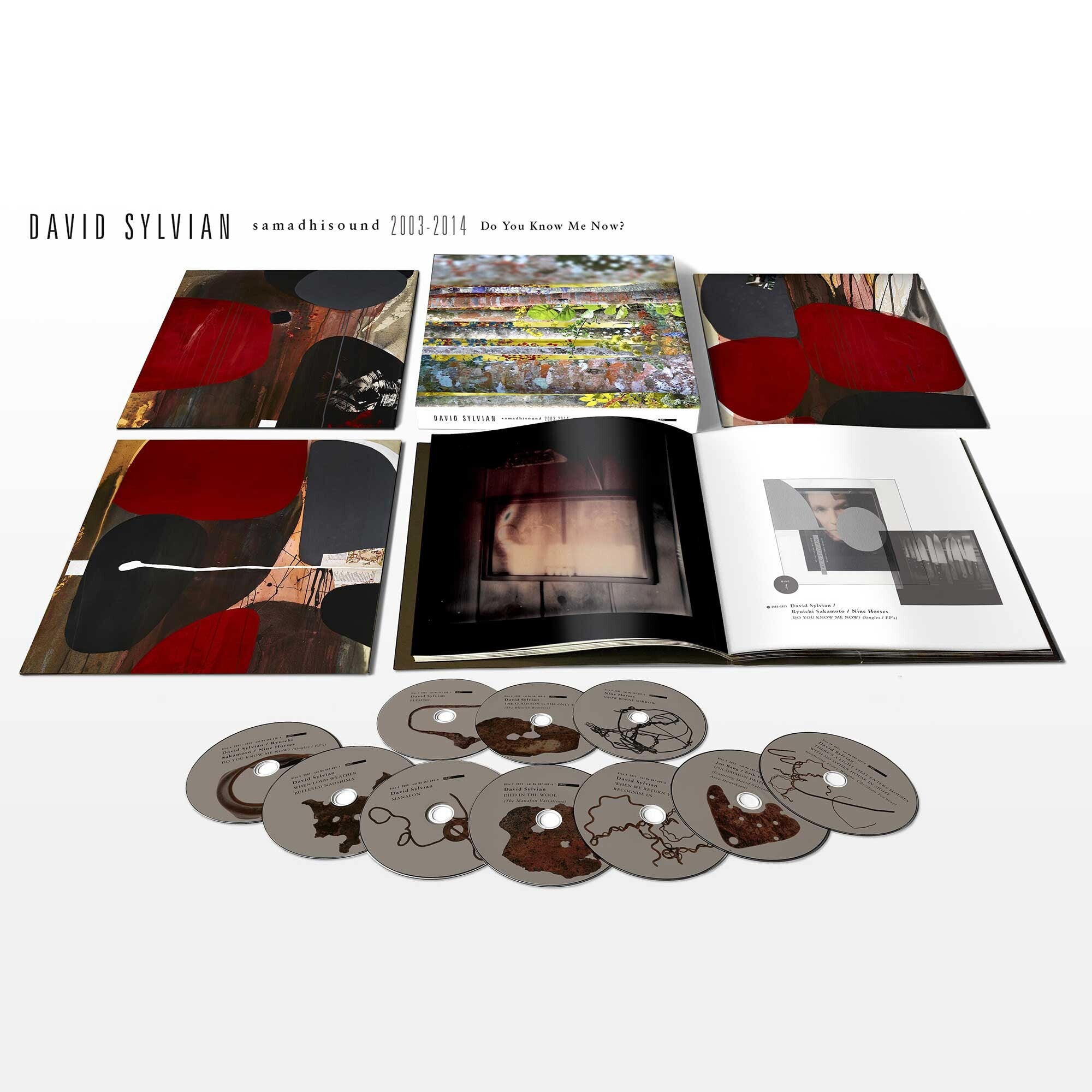 David Sylvian Do You Know Me Now? Exclusive 10CD Boxset 293442