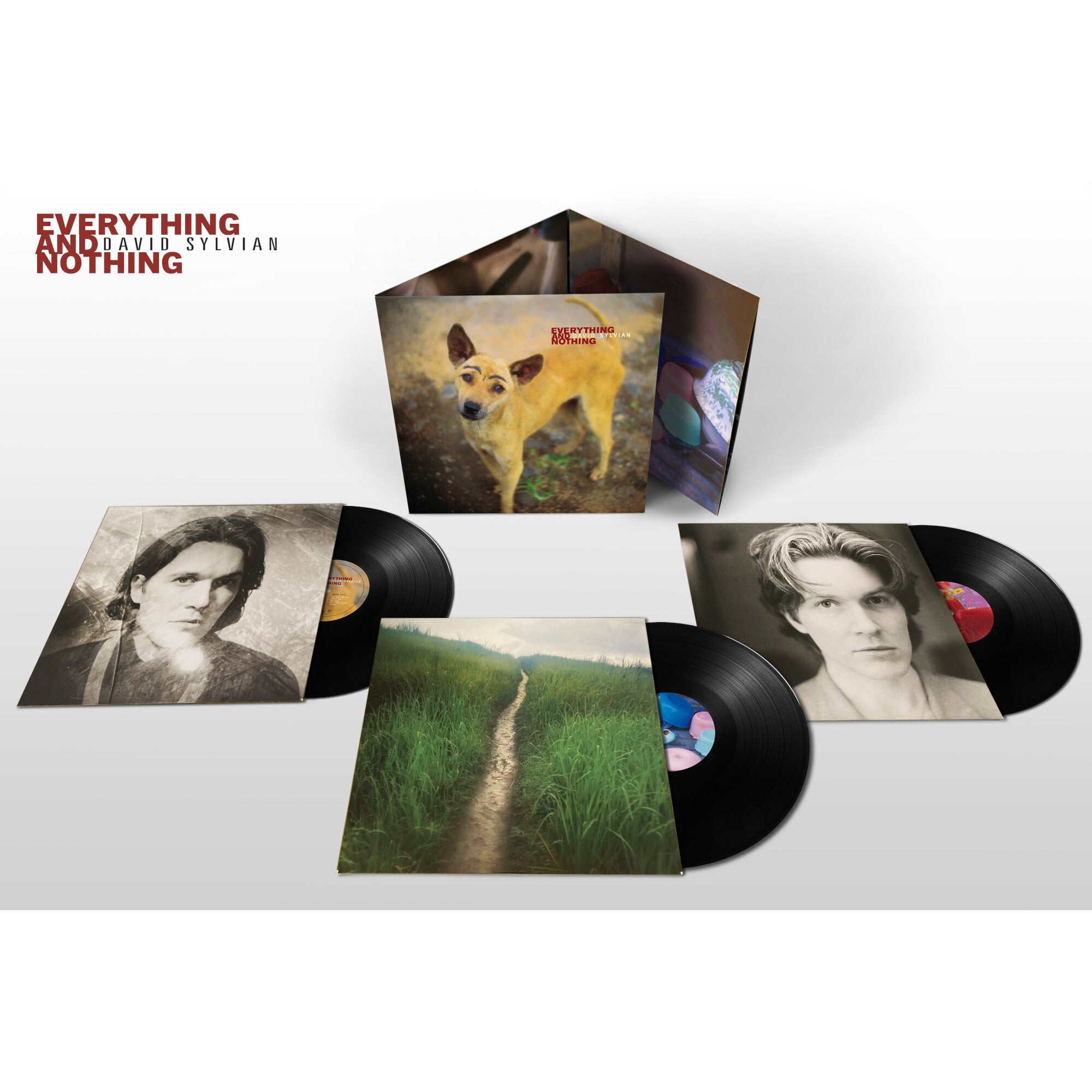 David Sylvian Everything & Nothing 3LP 371339