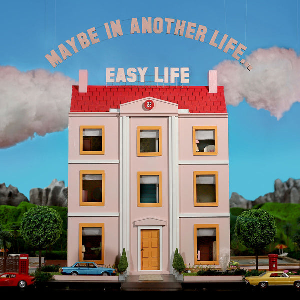 hard life - MAYBE IN ANOTHER LIFE... (Vinyl LP)