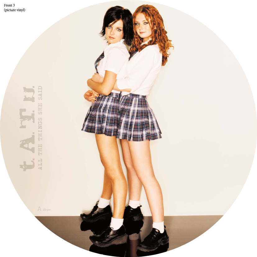 t.A.T.u. All The Things She Said  12inch picture vinyl 45rpm 436249
